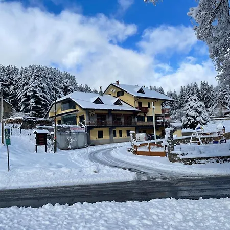 Fd Lorichella * Lorica