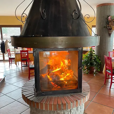 Fd Lorichella * Lorica