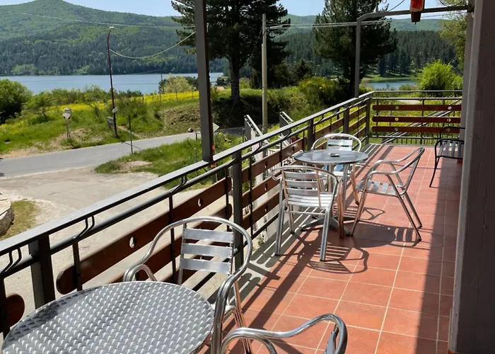 Fd Lorichella * Lorica